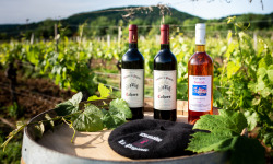 Domaine la Paganie - Coffret de 3 Bouteilles : 2 Rouges AOC Cahors et 1 Rosé Vin de France