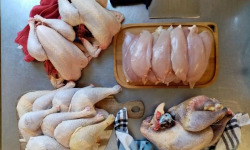 Les poulets de la Marquise - Colis Ecureuil XL 100% poulet bio
