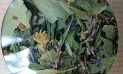Les Jardins du Mas de Greil - Tilleul-menthe-lavande, Tisane Composée