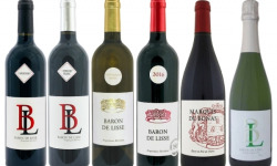 Bonas Lisse Vignoble - Lot Dégustation - Vins du Domaine