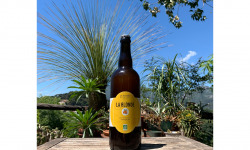 La Maison du Citron - Bière Blonde au Kumquat Bio - 75 cl