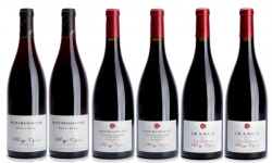 Domaine Tupinier Philippe - Lot de 3 vins Rouges : Bourgogne 2015, Bourgogne Côte d'Auxerre rouge 2016, Irancy AOC 2018 - 6 bouteilles
