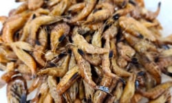 Le Panier à Poissons - La crevette grise de pays cuite, lot de 300gr