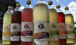 TK Bio - The Kefir et Kombucha Compagnie - Pack Boissons probiotiques 3 x 1 litre BIO