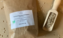 Les Graines de Louise - Graines de tournesol décortiquées biologique  1kg