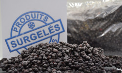 Trapon Champignons - Myrtilles Sauvages Surgelées 3kg