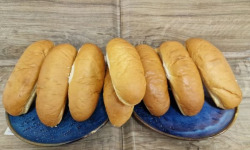 Graines de Créateurs - Hot Dog Classique x50