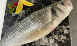 Notre poisson - Bar sauvage écaillé vidé 800g/1kg en lot de 3kg