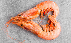 La Paysanne des Mers - Crevettes cuites Label Rouge - 300g