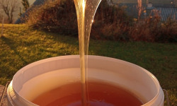 La Truite du Mézenc - Miel de Tilleul - 5kg