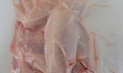 Cailles de Chanteloup - [Surgelé] 2 Ailes de poulet, 251 à 300 gr