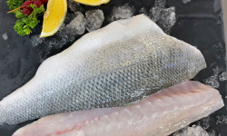 Notre poisson - Filet de bar 1kg