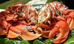 Le Panier à Poissons - Le homard du Croisic cuit, pièce de 900gr/1kg