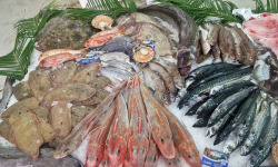 Télémaque - 2kg de poisson du jour Surprise