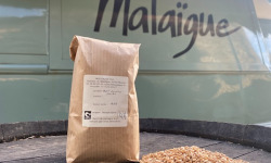Domaine de Malaïgue - Petit Epeautre en Grains bio - 1kg