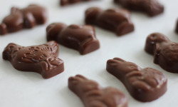 Maison Le Roux - La Friture Chocolat - Assortie