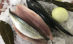 Saveurs Océanes IO - Filets de maquereaux – 1kg