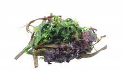 La Paysanne des Mers - Panaché d'algues - 500g
