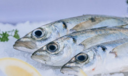 Côté Fish - Mon poisson direct pêcheurs - Gascons 500g