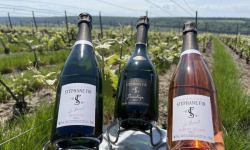 Champagne Stéphane Fir - Champagne Prestige - Rosée De Saignée - Brut - 3 X 75 Cl