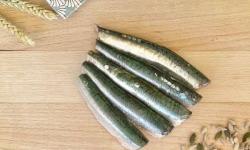 La Criée d'à Côté - Filets de Sardines - 1 kg