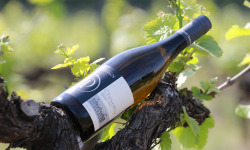 Domaine Daridan - Vin AOC Cheverny Blanc 2022 Tradition