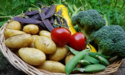 La Coussoyote - Panier de Légumes de saison - 10kg