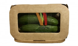 Maison Sales - Végétaux d'Art Culinaire - 24- Mini Concombre - 5 Pièces