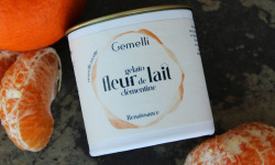 Gemelli - Gelati & Sorbetti - Glace Fleur de lait, clémentine pot 100ml