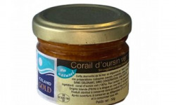 Luximer - Corail d'oursin - 50g