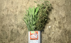 La Boite à Herbes - Tisane Fraîche Thym/sauge/romarin - 100g
