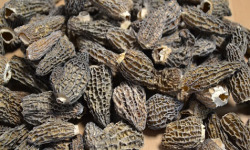 Trapon Champignons - Morilles séchées 25 g