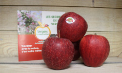 Le Châtaignier - Pommes Gala - 1 Kg
