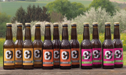 Microbrasserie Blessing - PACK BIERES – 4 blondes + 4 ambrées + 4 IPA – 12x33cl