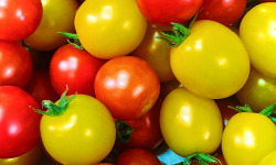 Ferme Joos - Tomates cerises 500 g