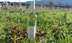 Domaine Les Conques Soulière - Vin Blanc Muscat Petits Grains IGP Méditerranée 6x75cl