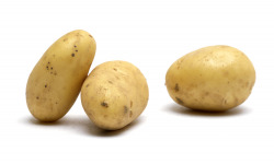 Maison Quéméner - Pommes de terre nouvelles - 5 kg