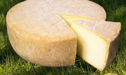 Fromagerie des Gors - Tomme des Gors (1/2 tomme)