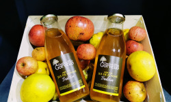 Distillerie du Gorvello - Jus de Pomme Bio "Tradition" x6