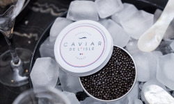 Caviar de l'Isle - Caviar Baeri Français 20g - Caviar de l'Isle