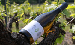 Domaine Daridan - Vin IGP Val de Loire Sauvignon Blanc 2020 - 6x75cl