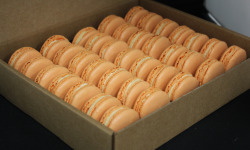 Les Macarondises - 35 Macarons Abricot