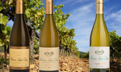 Château Saint Estève d'Uchaux - ASSORTIMENTS - "NOS VIOGNIERS"  : 6 vins Blanc " Viogniers"
