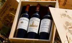 Vignobles Brunot - Coffret Bois "Vins Premium de Bordeaux" dont Saint-Emilion Grand Cru - 3x75cl