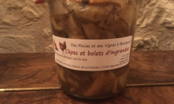 Des Poules et des Vignes à Bourgueil - Cèpes De Bourgueil