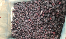 La Ferme des petits fruits - [SURGELÉ] Myrtilles Cultivées BIO - 14KG