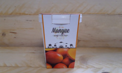 La Ferme du Logis - Sorbet Plein Fruit Mangue