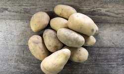 Langevine - Pomme de terre CONSOMMATION variété Charlotte BIO 4kg