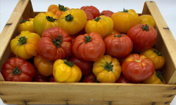 Le Panier du Producteur - Tomates anciennes - 1kg