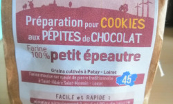 Famille Rochefort - Préparation pour cookies 100% farine de petit épeautre